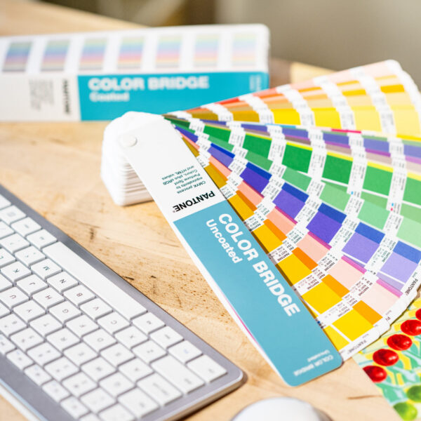 Color Bridge Guide Set | Coated & Uncoated